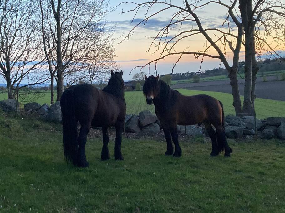 Appartamento Fin Laegenhet Mitt Pa Bjaerehalvoen Båstad Esterno foto